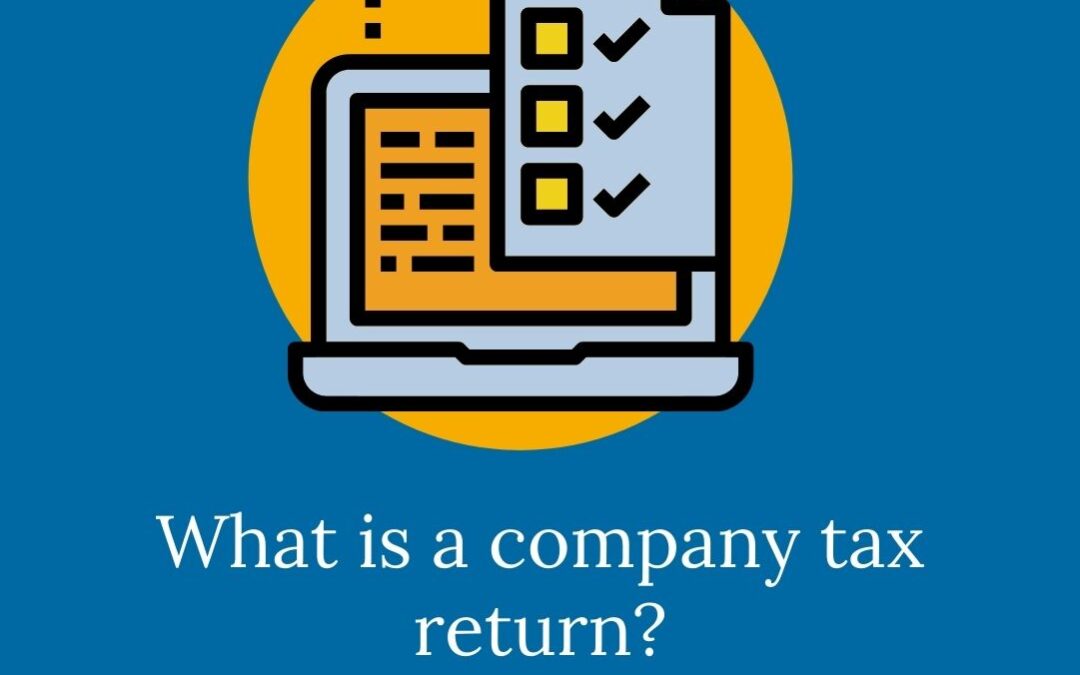 What is a company tax return?