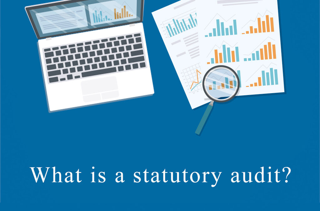 What is a statutory audit?